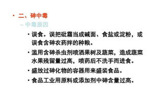 烹飪與膳食管理基礎在餐飲管理中的關鍵作用
